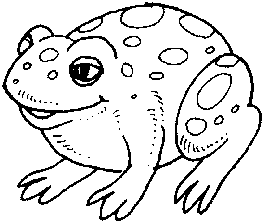 Żaby kolorowanki